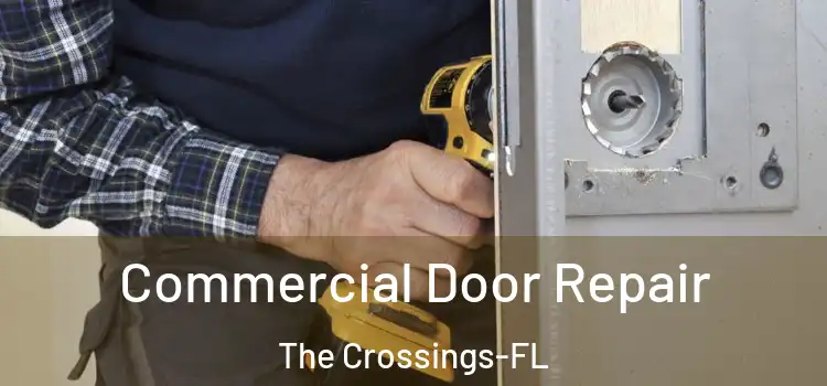  Commercial Door Repair The Crossings-FL