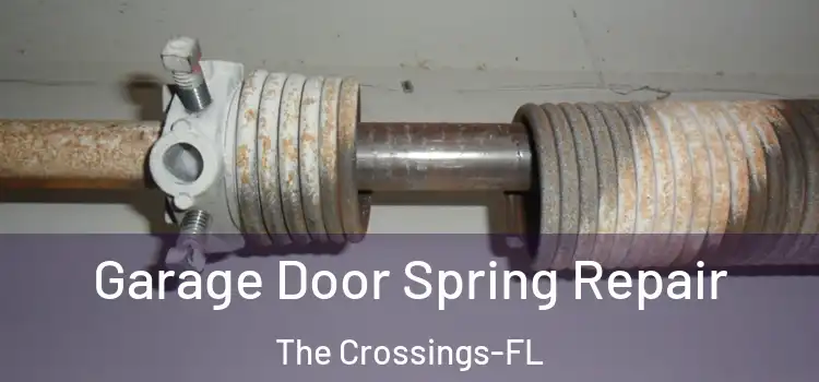 Garage Door Spring Repair The Crossings-FL