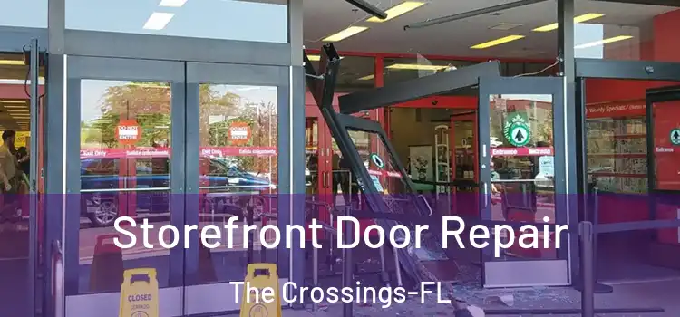  Storefront Door Repair The Crossings-FL